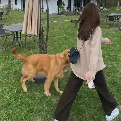 巡演转学生