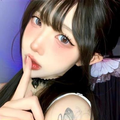 哈吉布基的森林冒险