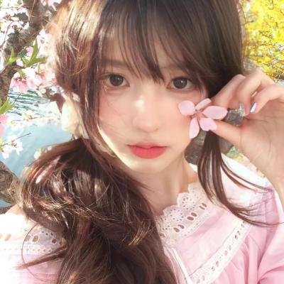 陆行鲨